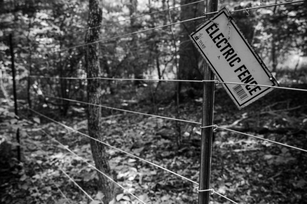Herrontown woods 71